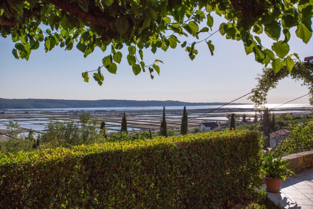 Apartment Stella Portoroz Exterior photo